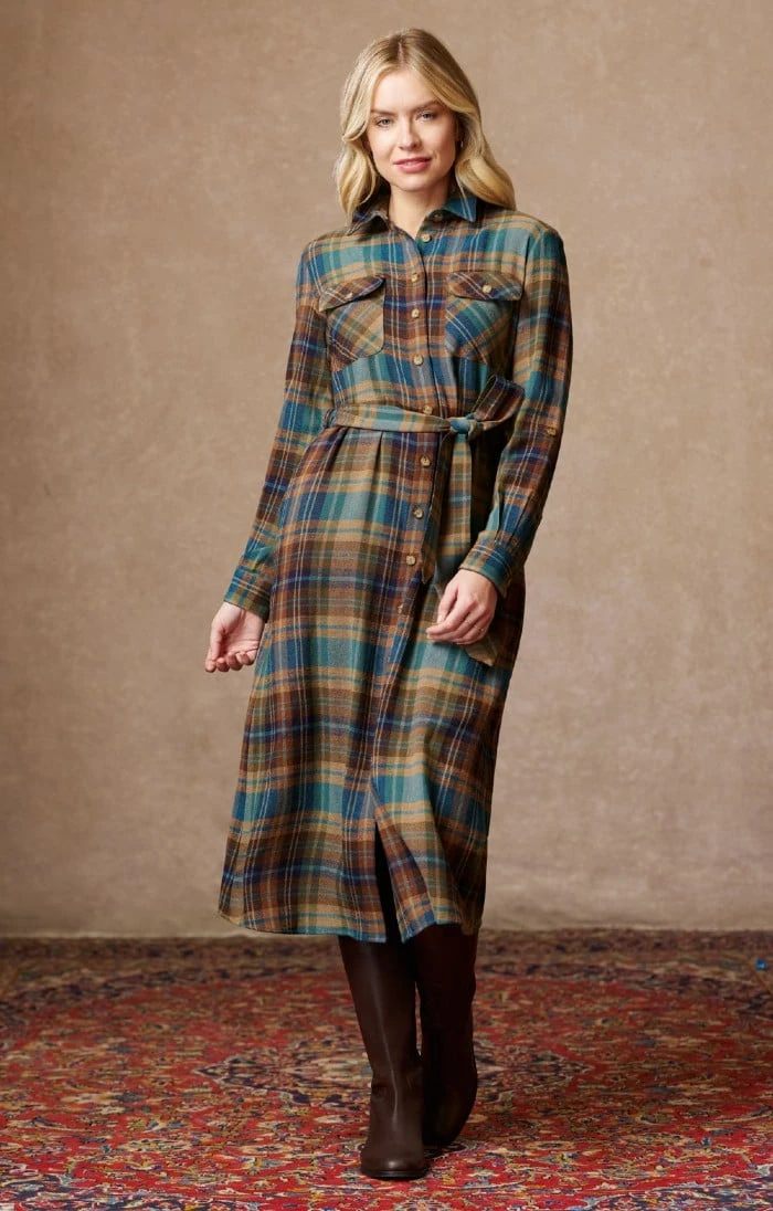 Ladies Shirtwaister Dress 1 Ladies Shirtwaister Dress