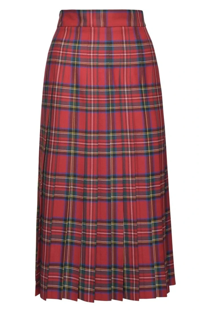 Ladies All Round Pleat Skirt 4 Ladies All Round Pleat Skirt - Image 4